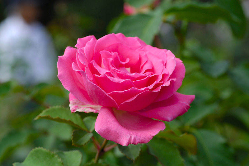 image0118