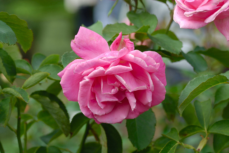 image0120