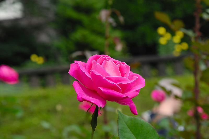 image0157
