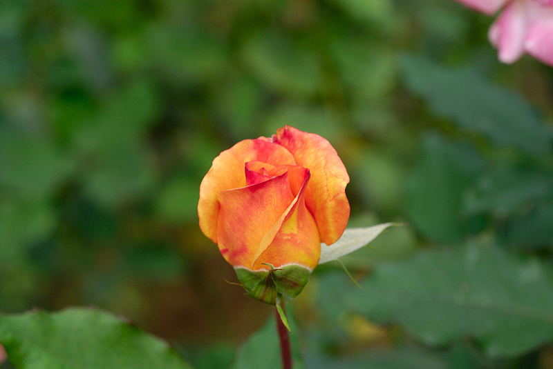 image0161