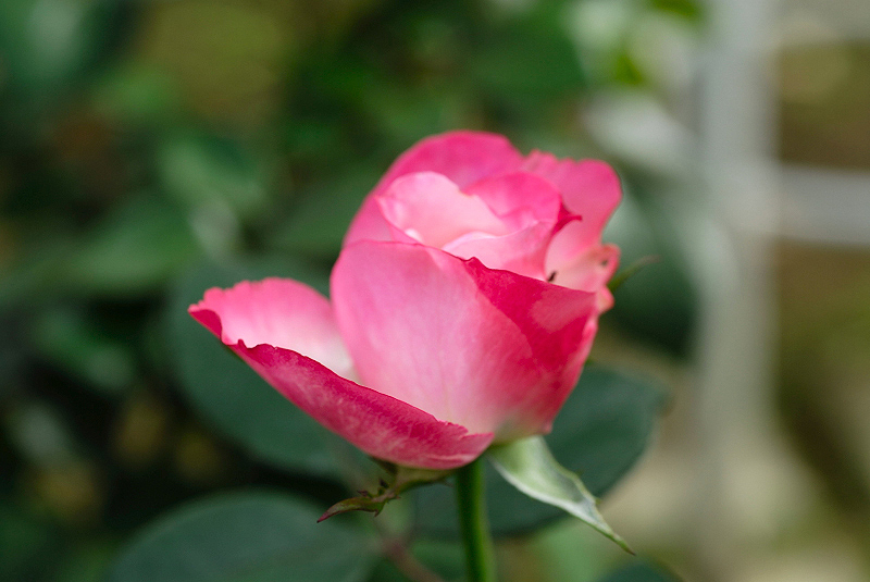 image0164