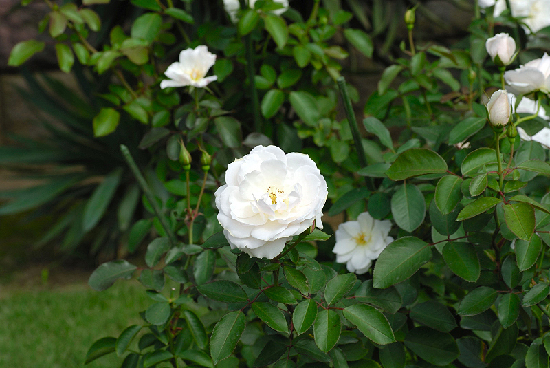 image0165