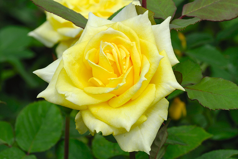 image0166