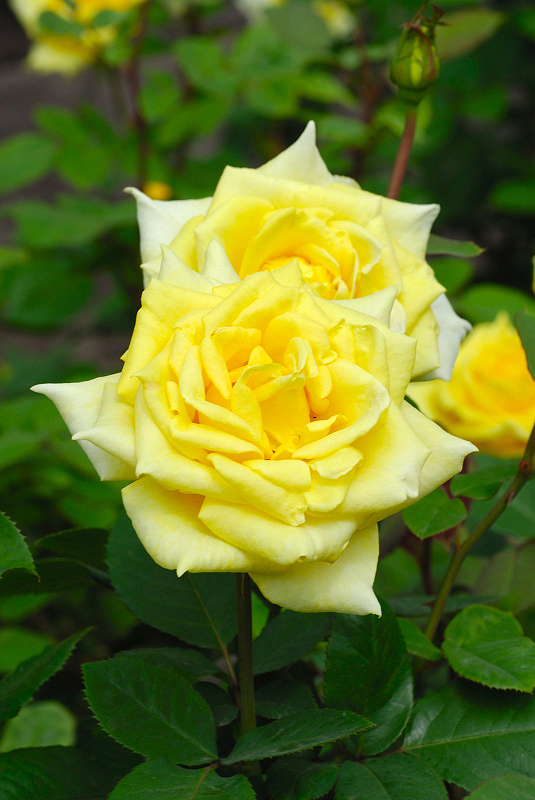 image0167
