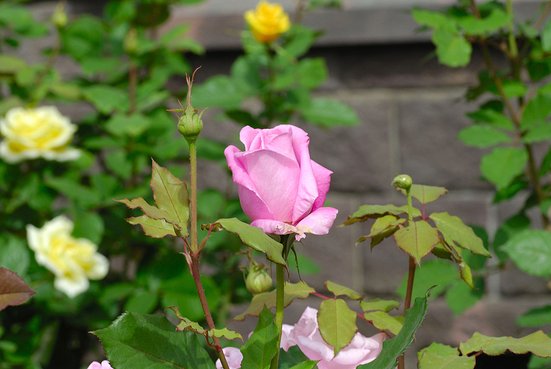 image0169
