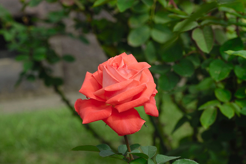 image0170