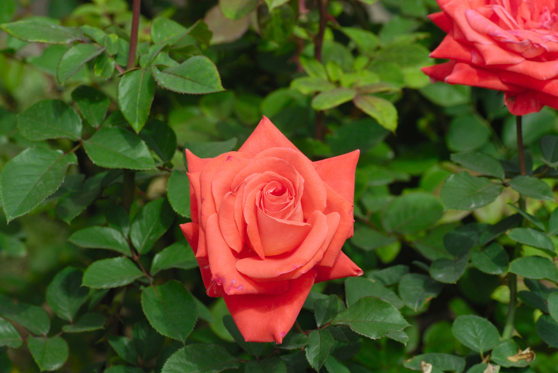 image0171
