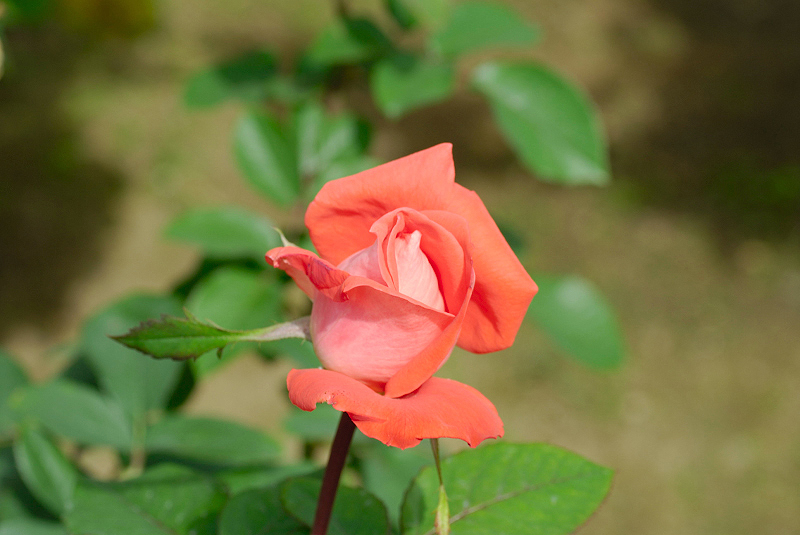 image0173