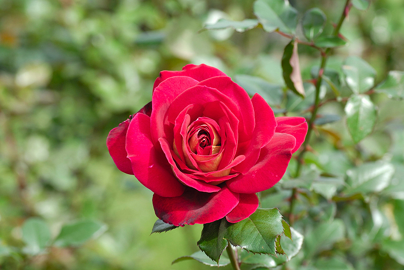 image0175