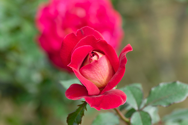 image0176