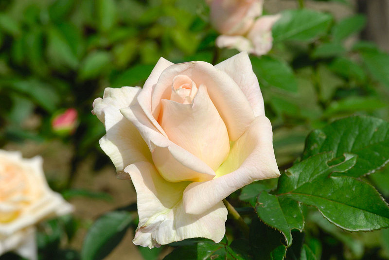 image0178