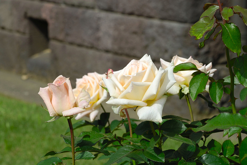 image0180