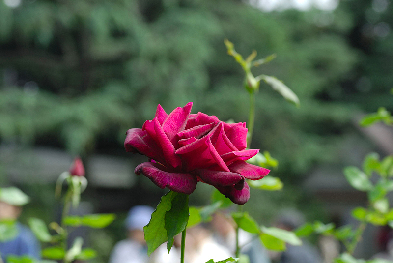 image0184