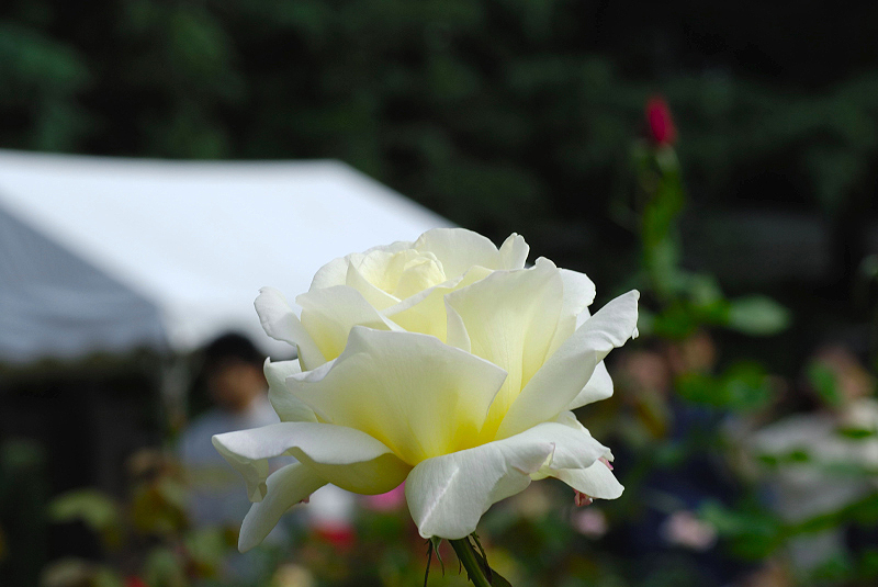 image0185