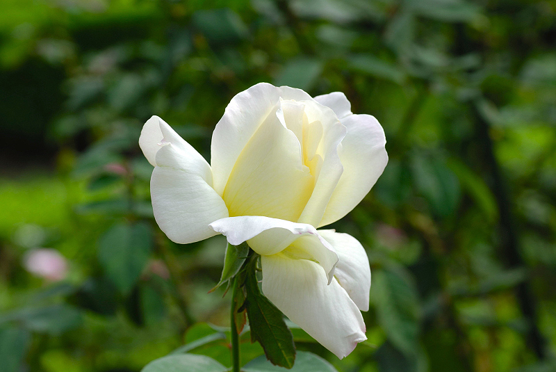 image0186