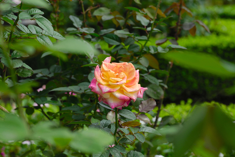 image0187