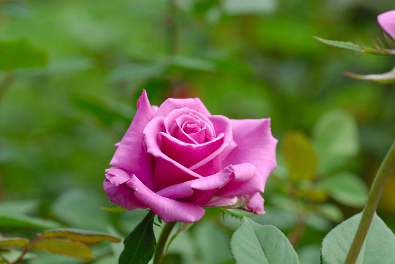 image0188