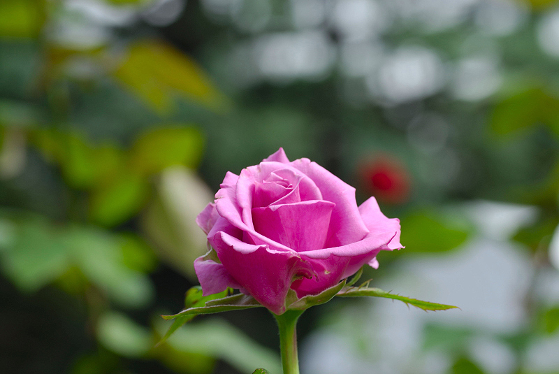 image0189