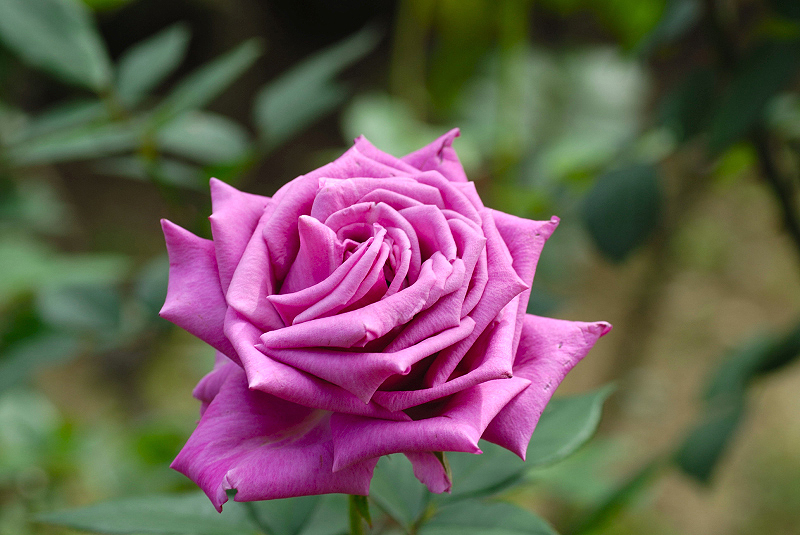 image0190