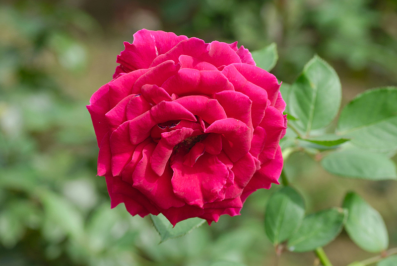 image0191