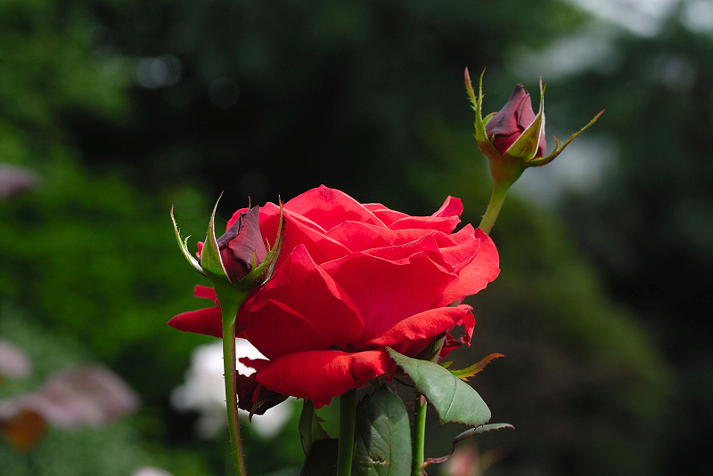 image0192
