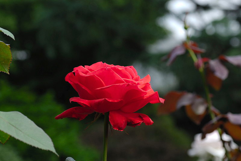 image0193