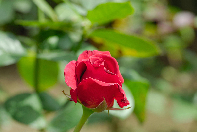 image0195