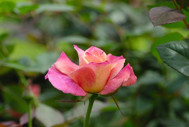 image0200