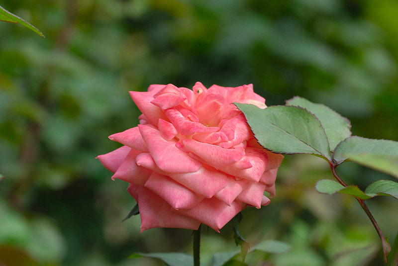 image0201