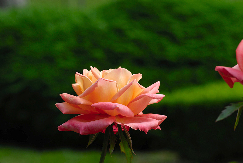 image0202