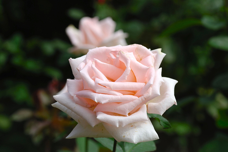 image0203