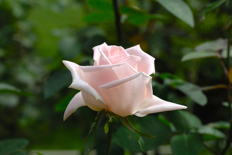 image0205