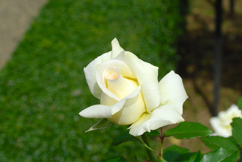 image0209