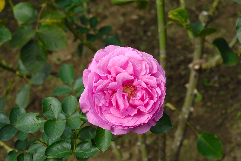 image0210