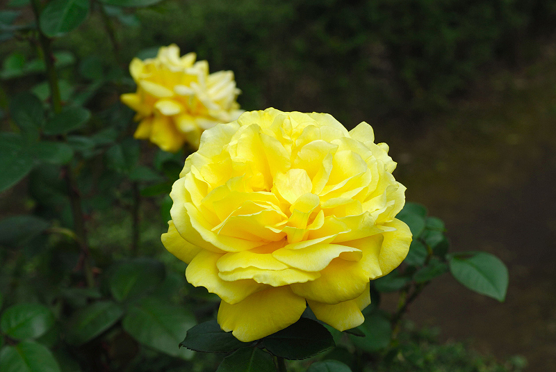 image0211