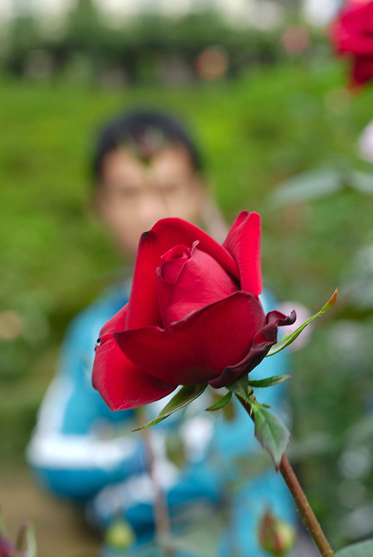 image0212