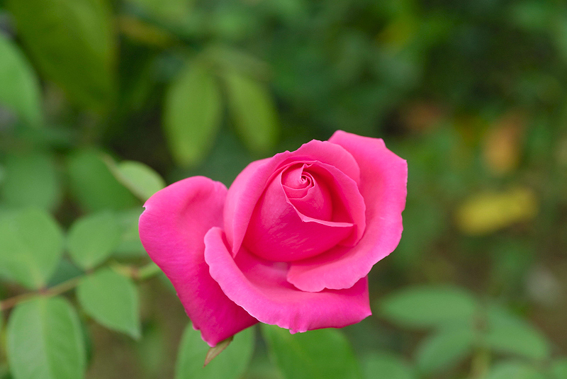 image0213