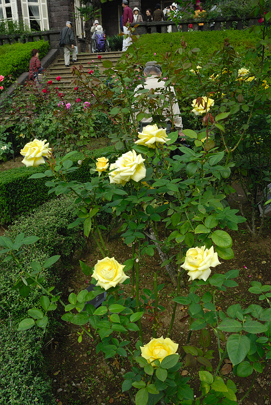 image0221