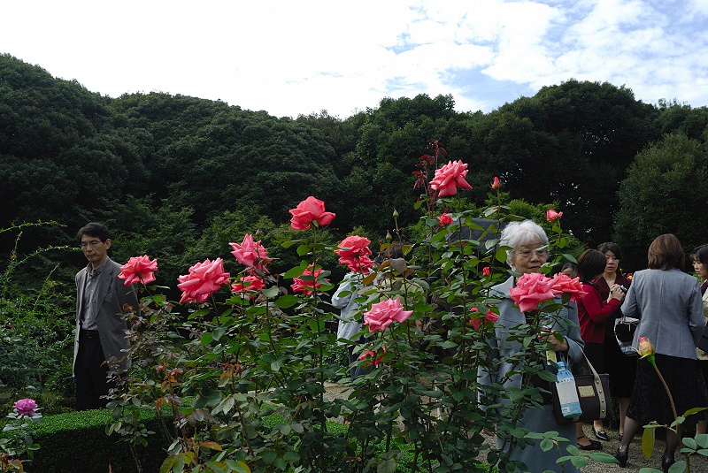 image0222