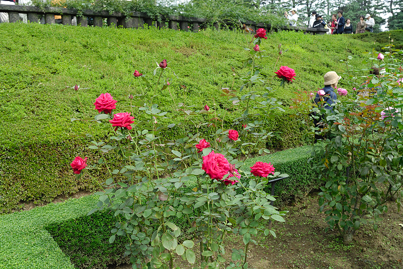 image0223