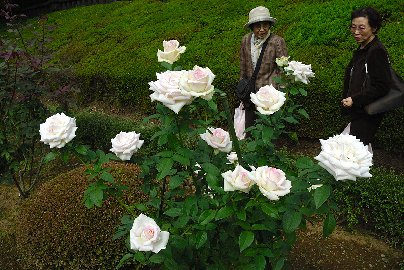 image0224