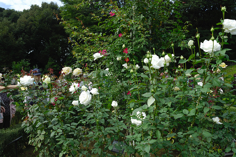 image0225