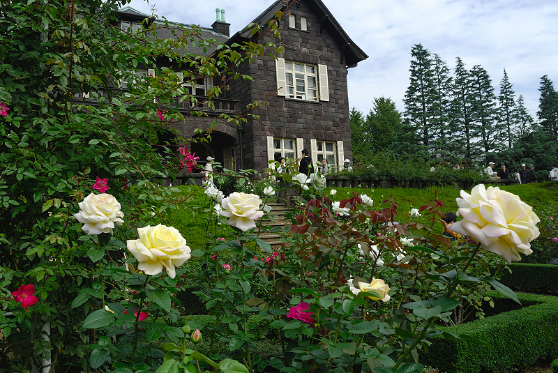image0226