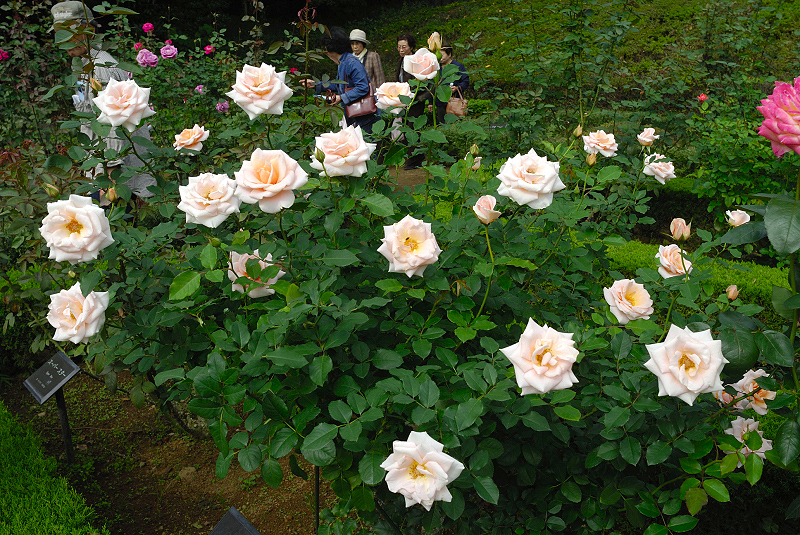 image0227