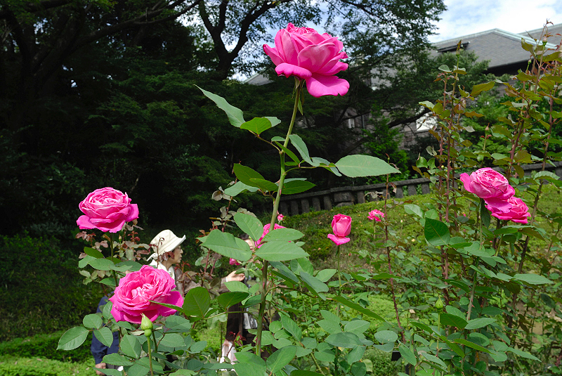 image0228