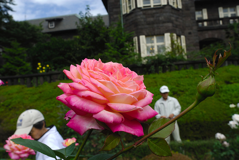 image0230