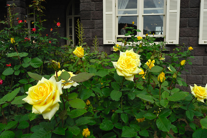 image0233
