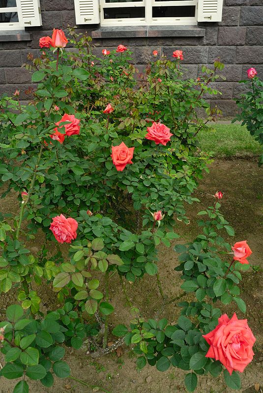 image0234