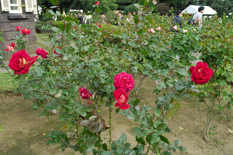 image0235