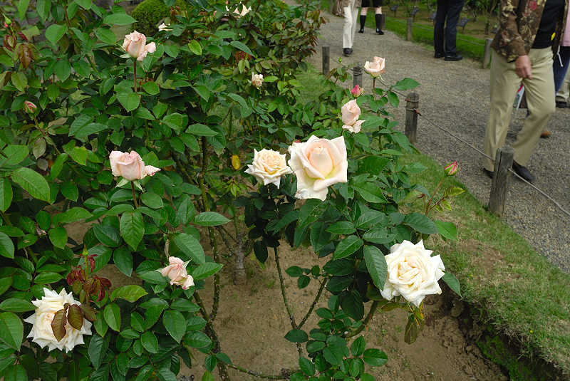 image0236